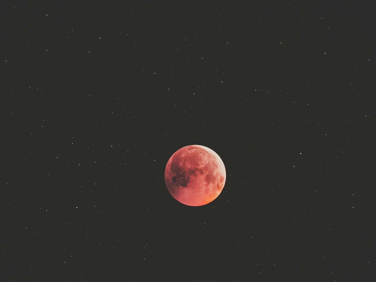 비가 2, 붉은 달 : 기형도