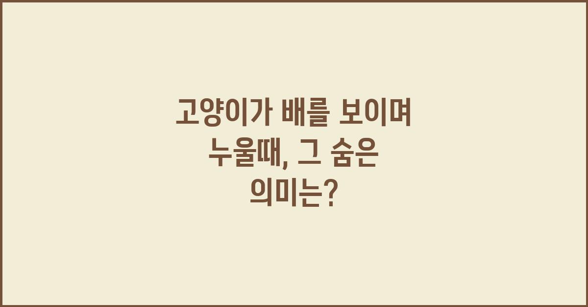 고양이가 배를보이며 누울때