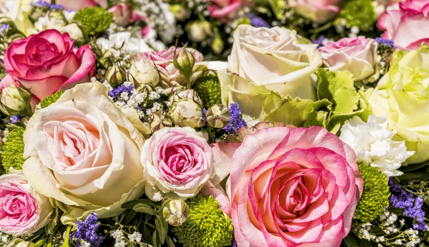 빼빼로데이 선물 추천