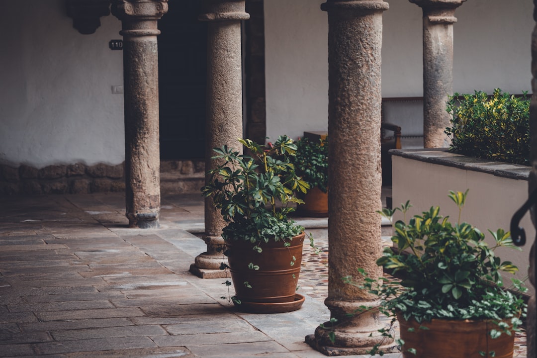 Landscaping.