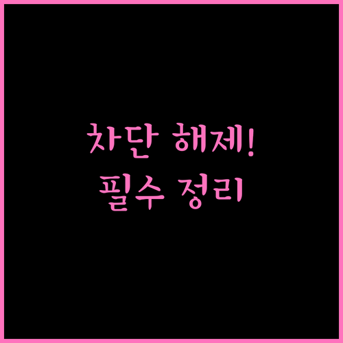 가벼운 우회 프로그램 GoodbyeD..