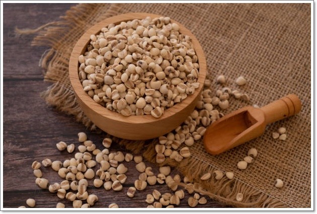 임신 극초기증상