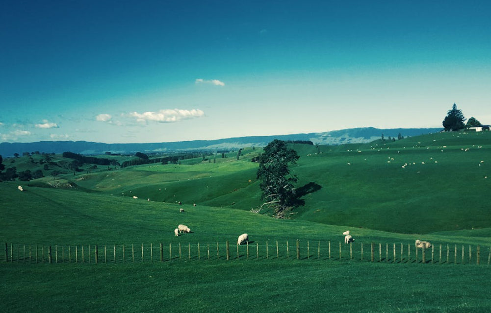 뉴질랜드 여행하기 좋은 계절