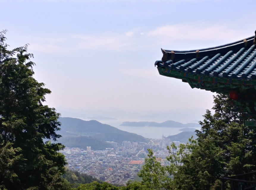 창원편백치유의숲3