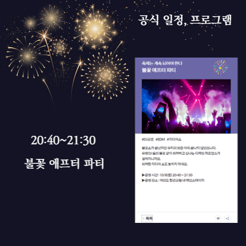 불꽃축제-애프터파티