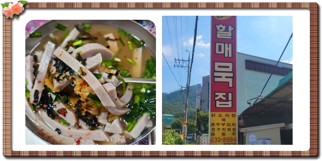 전현무계획2 대구 메밀묵채 메밀묵밥 정구지찌짐 후기