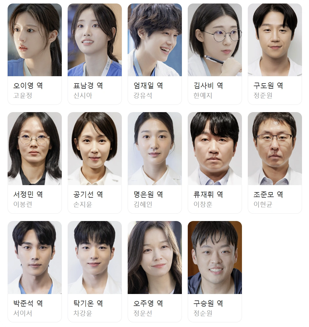 언젠가는 슬기로울 전공의생활 인물관계도