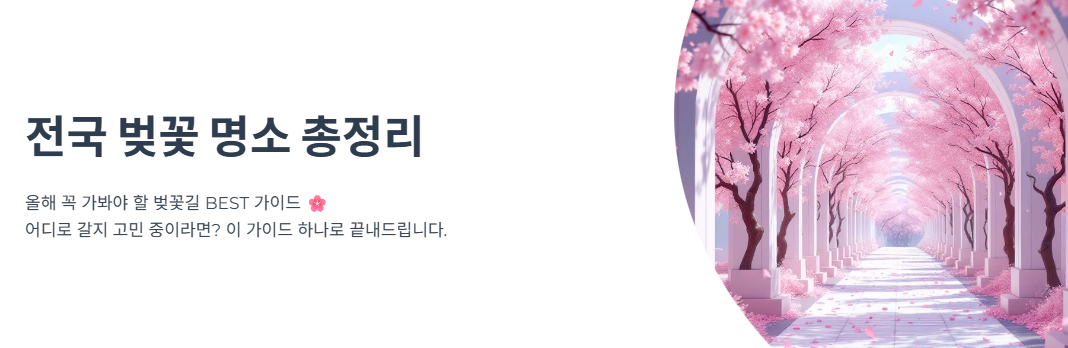 전국 벚꽃 명소 총정리, 올해 꼭 가봐야 할 벚꽃길 BEST 가이드