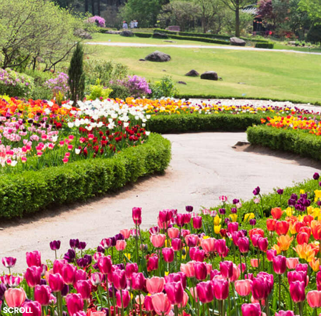 아침고요수목원