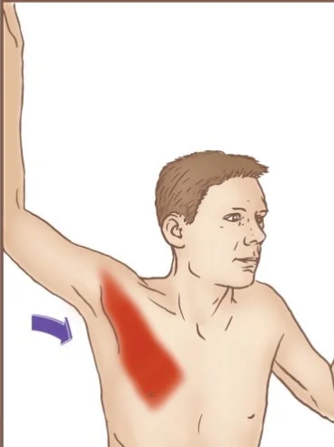 소흉근 스트레칭