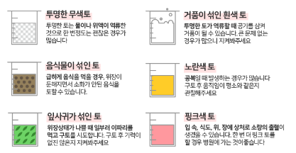 강아지 구토 색깔 별 원인