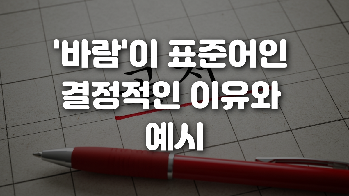 바람 이 표준어인 결정적인 이유와 예시