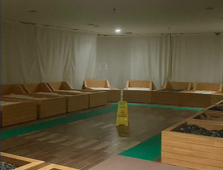 진안 홍삼스파1