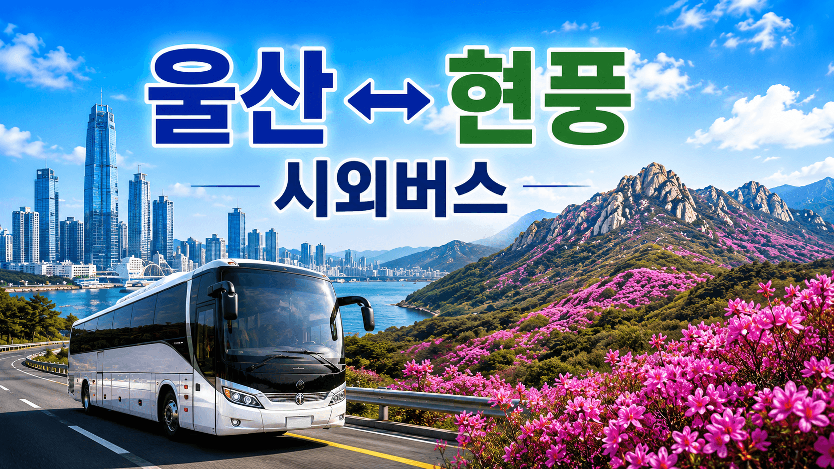 울산 현풍 간 고속버스