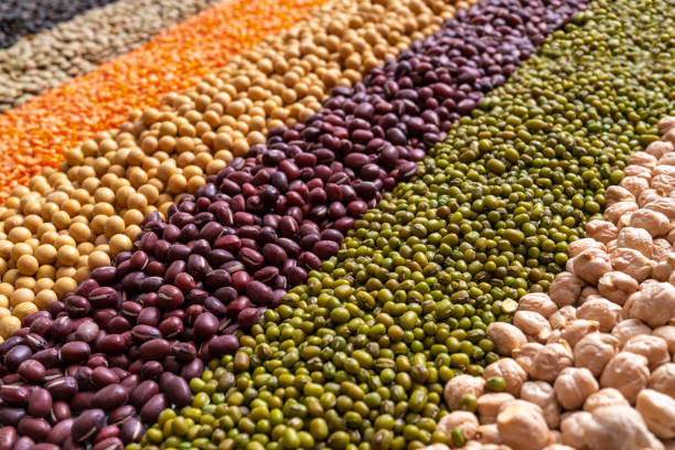 사용처 및 사용방법