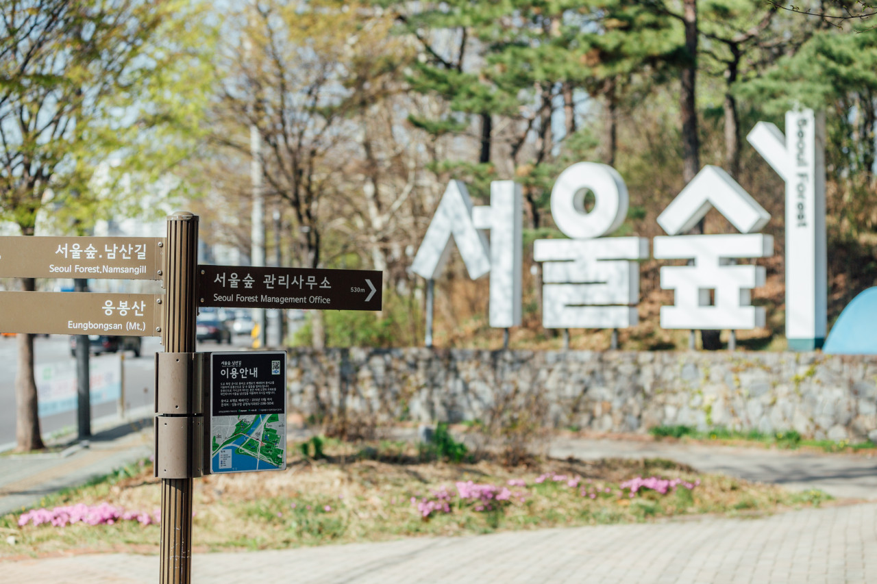 서울숲 공원 피크닉