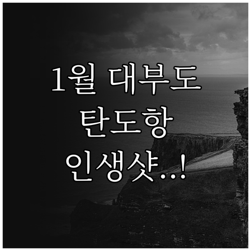 1월 안산 나들이 명소 대부도 탄도항..