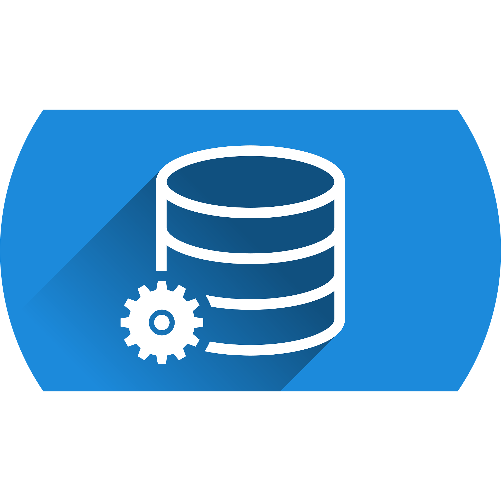 Oracle database