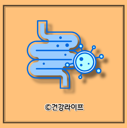 프로바이오틱스의 효능, 프로바이오틱스 복용법, 프로바이오틱스 부작용