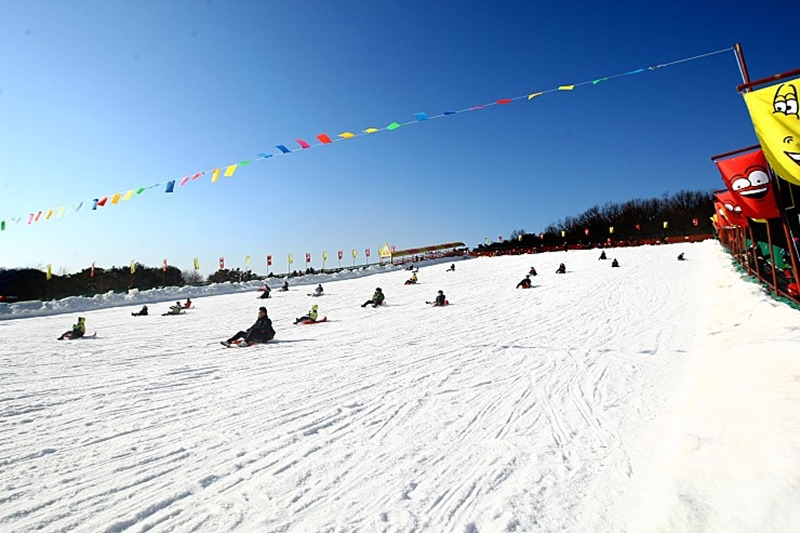 서울랜드 눈썰매장