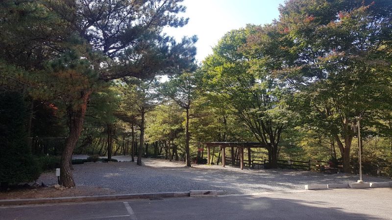 캠핑장_사이트