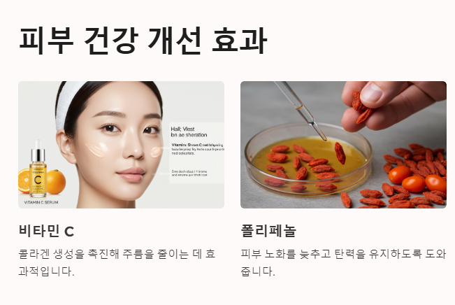 구기자의 효능&amp;#44; 피부건강