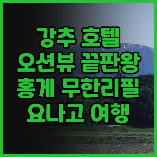 베이사이드 스퀘어 가이케 호텔 추천!..