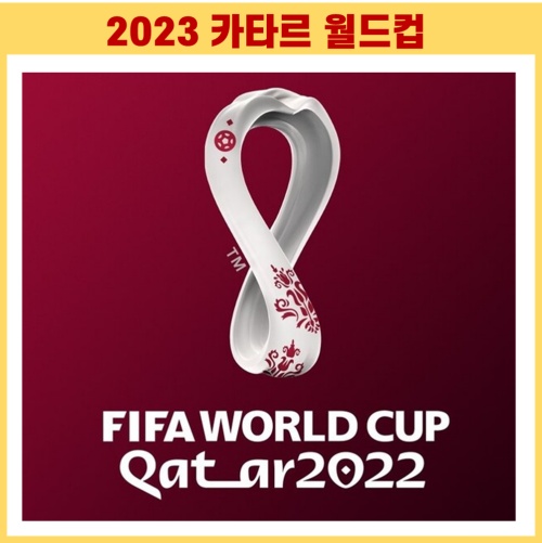 카타르월드컵 일정