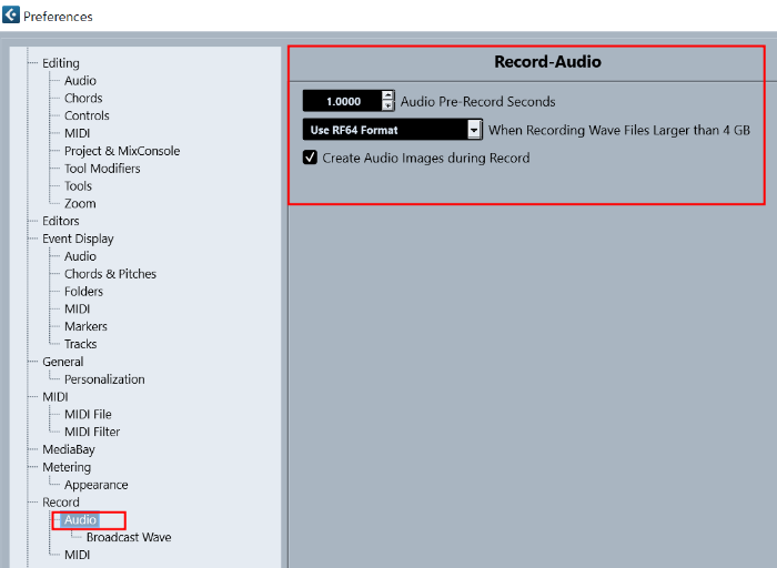 Record - Audio