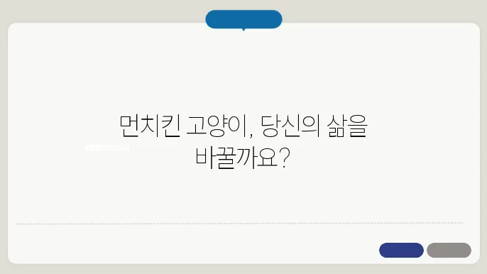먼치킨 고양이의 건강과 질병 관리