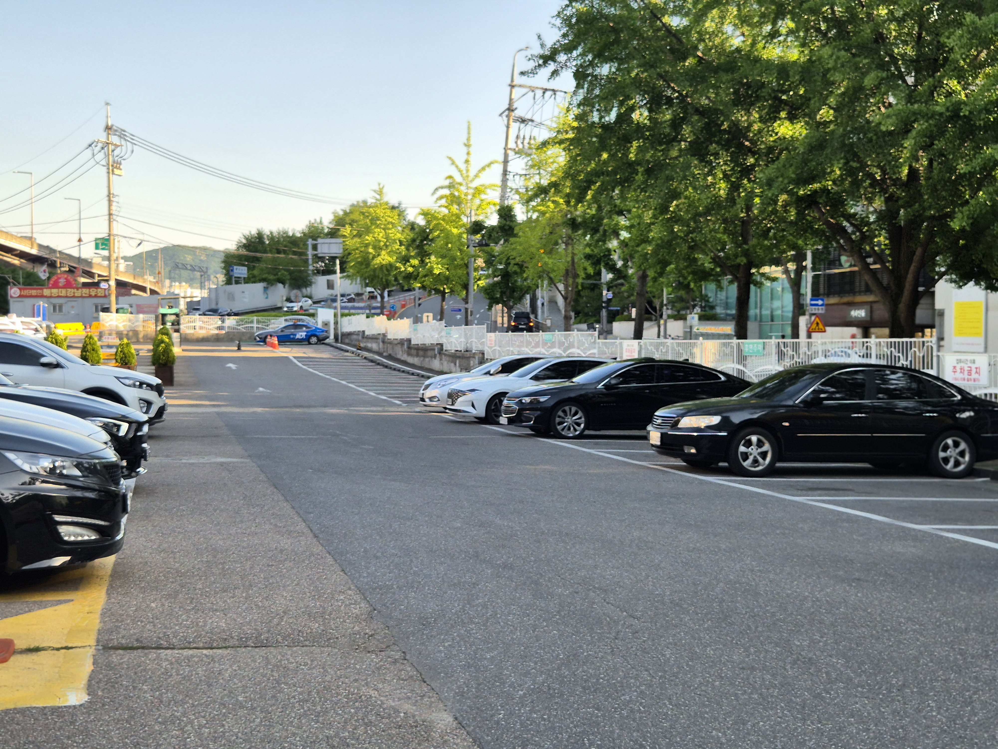 강남운전면허시험장 주차장 전경, 주차된 차량들 모습