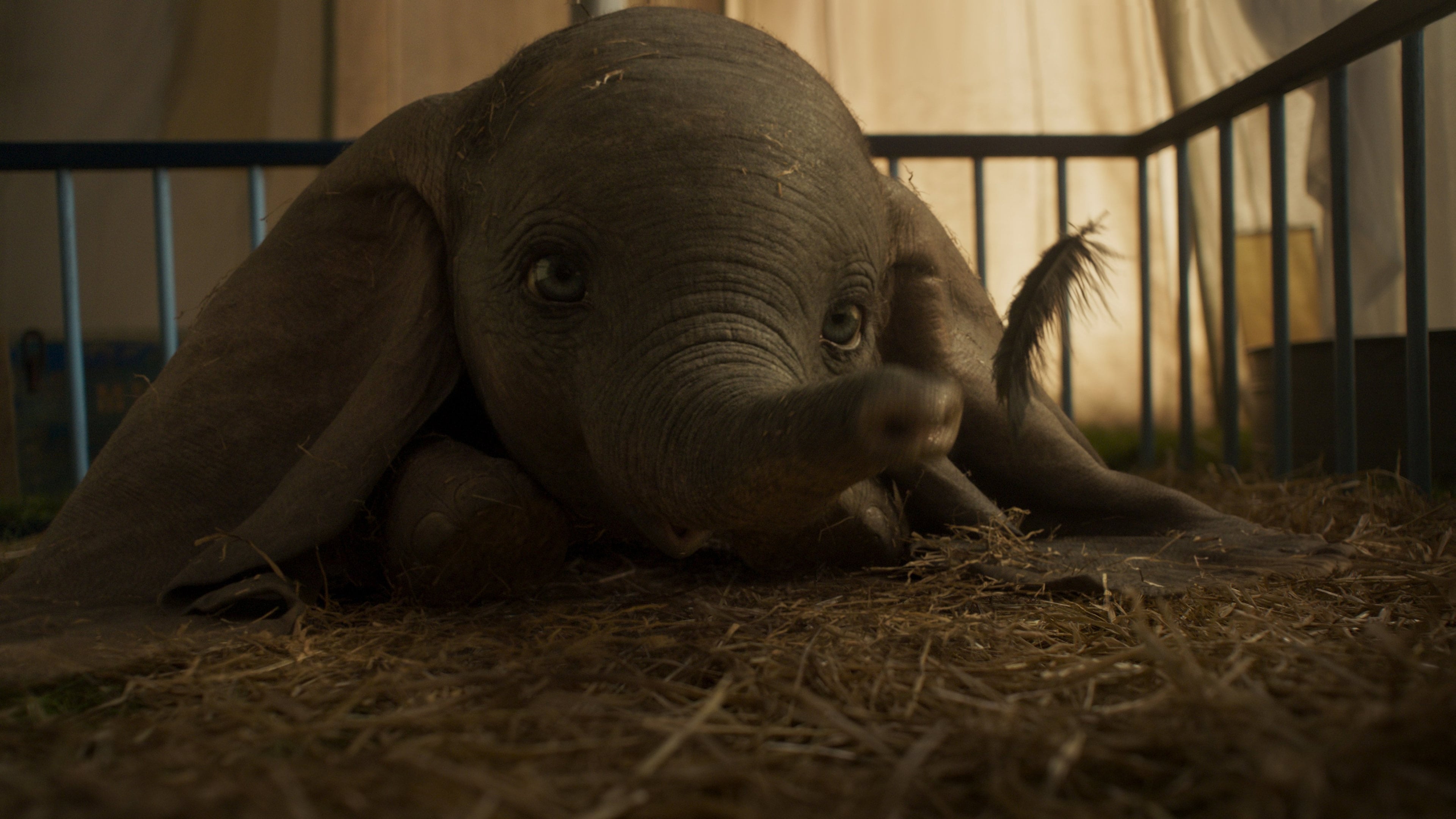 덤보(Dumbo, 2019)