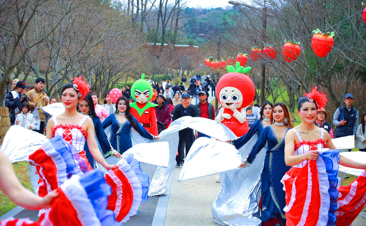 논산딸기축제