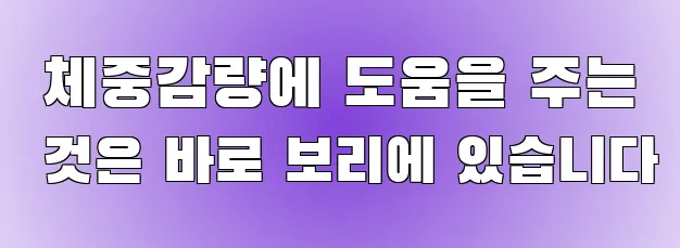  체중감량에 도움을 주는 것은 바로 보리에 있습니다