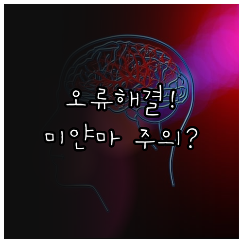미얀마항공 온라인 체크인 오류 해결과..