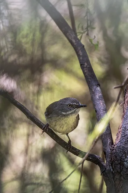 수세미 재배 덩굴 유인 통풍 관리 수확 건조_6