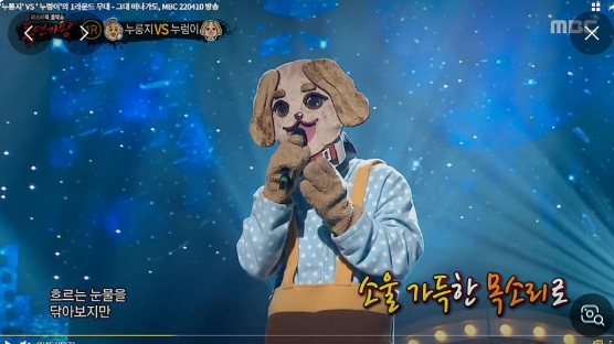 복면가왕 &#39;여름향기&#39; 정체 관련 이미지