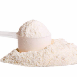 산양유 단백질 분말