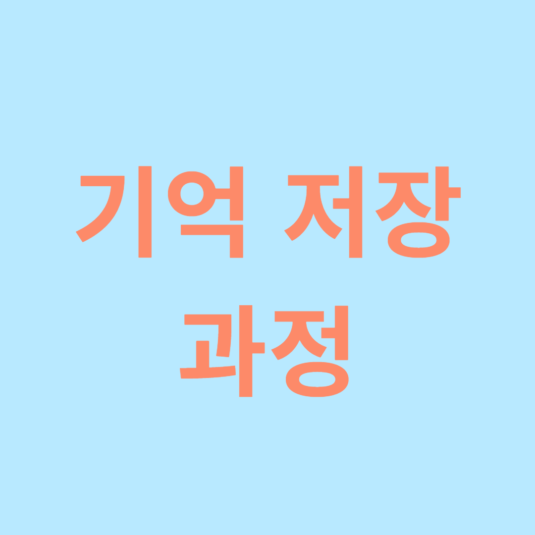 기억이 저장되는 과정