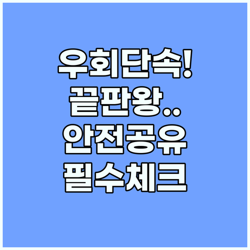 유튜브 프리미엄 우회 단속 대안 안전..
