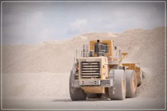 모종 고르는 법 줄기 굵기 잎색 뿌리상태 병해 흔적 확인_24