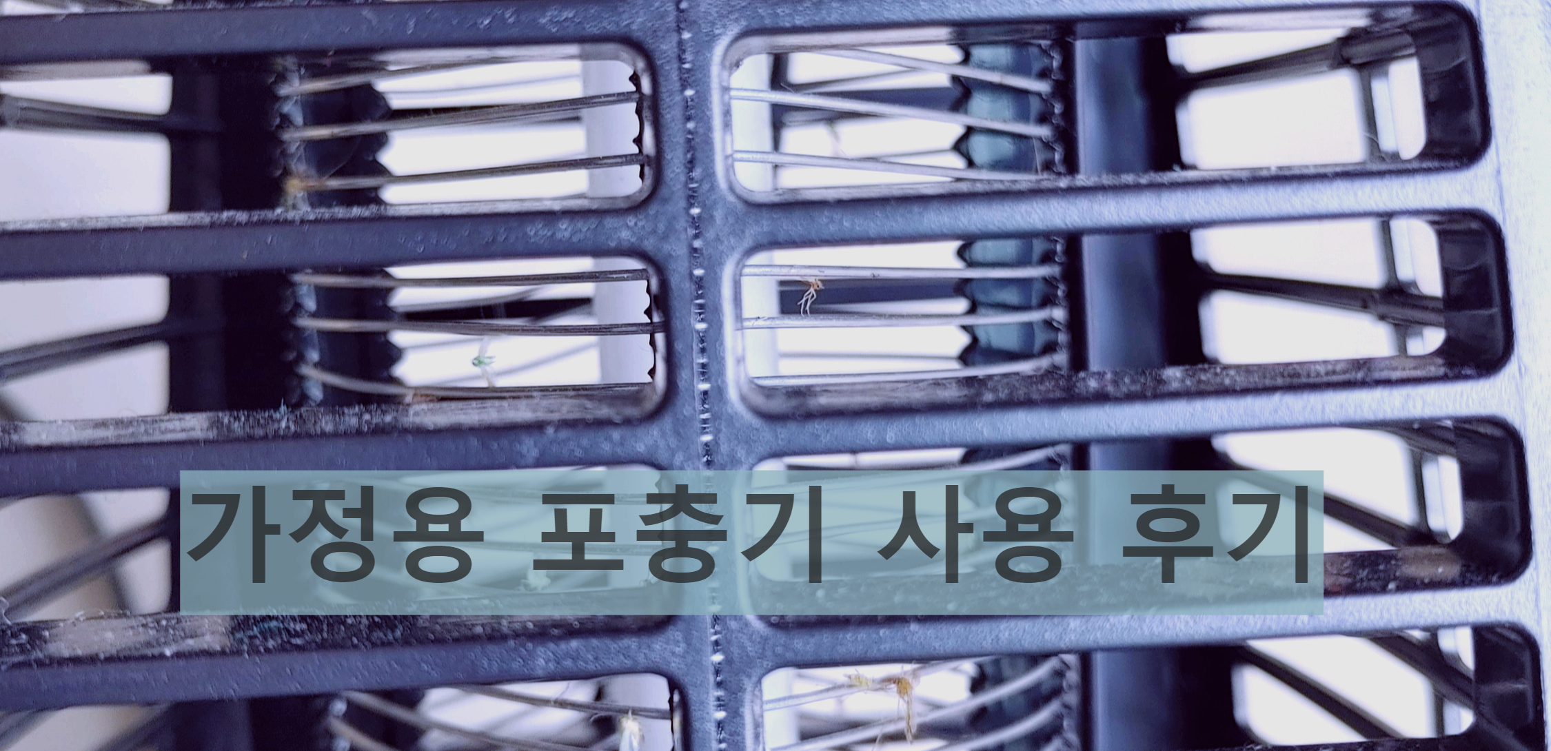 포충기에 모기와 벌레 등이 붙어있다.