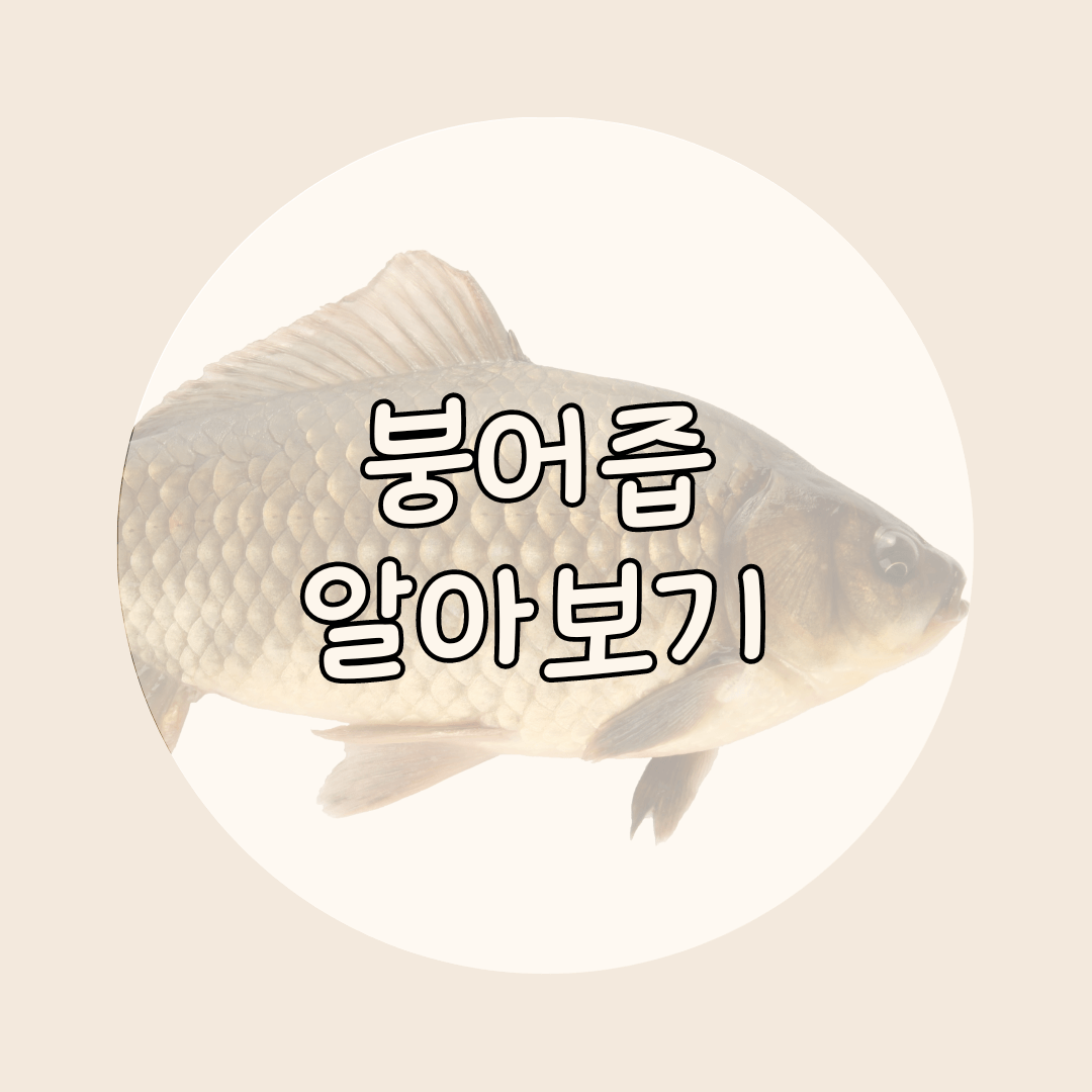 붕어즙 알아보기