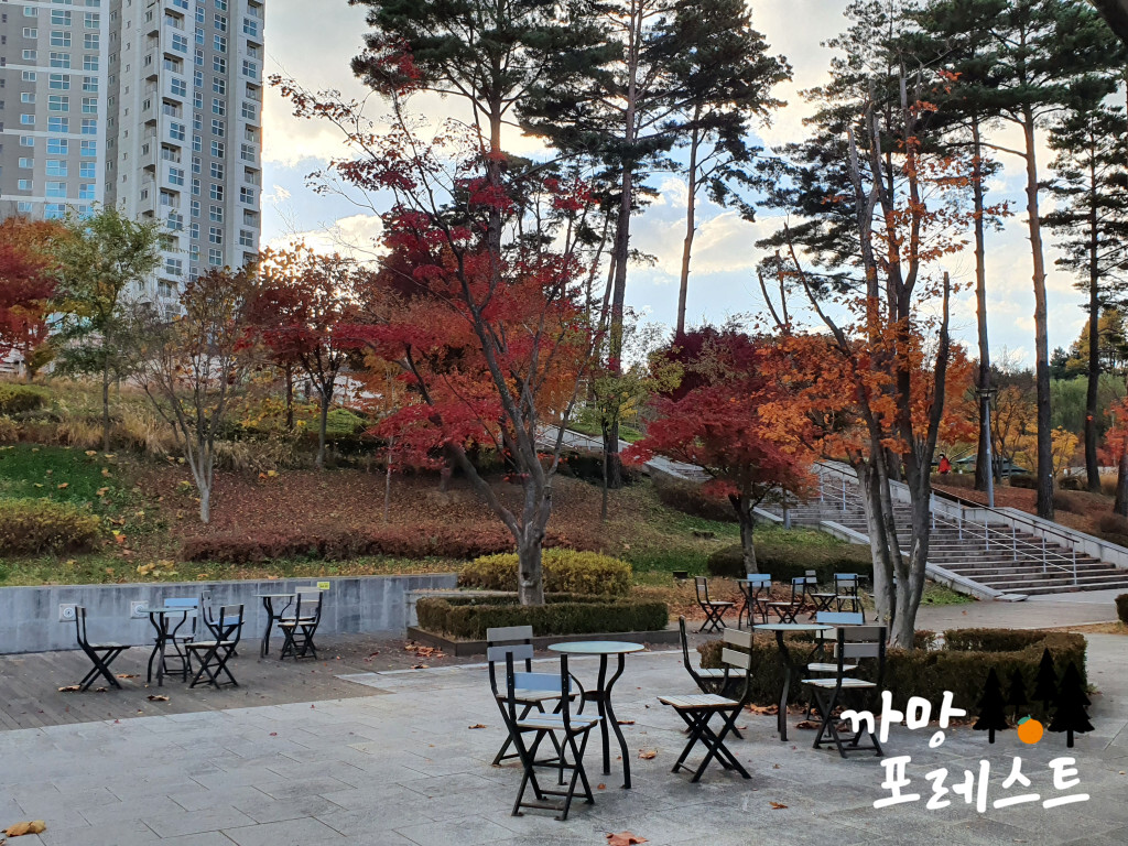 광교호수공원 산책로