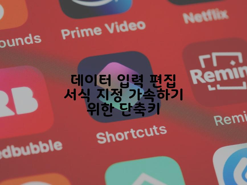 데이터 입력 편집 서식 지정 가속하기 위한 단축키
