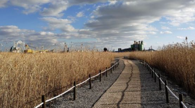 1월 전라남도 가볼만한곳 추천 ❘ 새해 신년 국내 겨울 여행지 ❘ 전라도 명소 ❘ 가족 실내 데이트