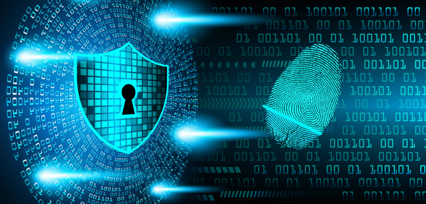 웹 보안 기초: XSS, CSRF 이해하기 (입문자용 실전 중심 가이드)