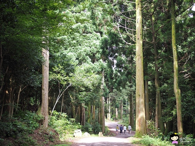 서귀포 치유의숲 관련 사진