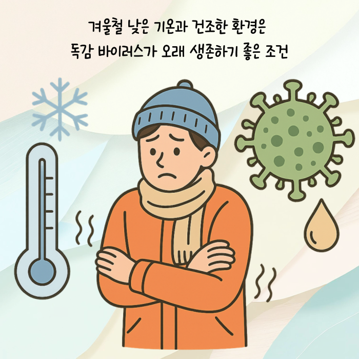 겨울철 낮은 기온과 건조한 환경은 독감 바이러스가 생존하기 좋은 조건