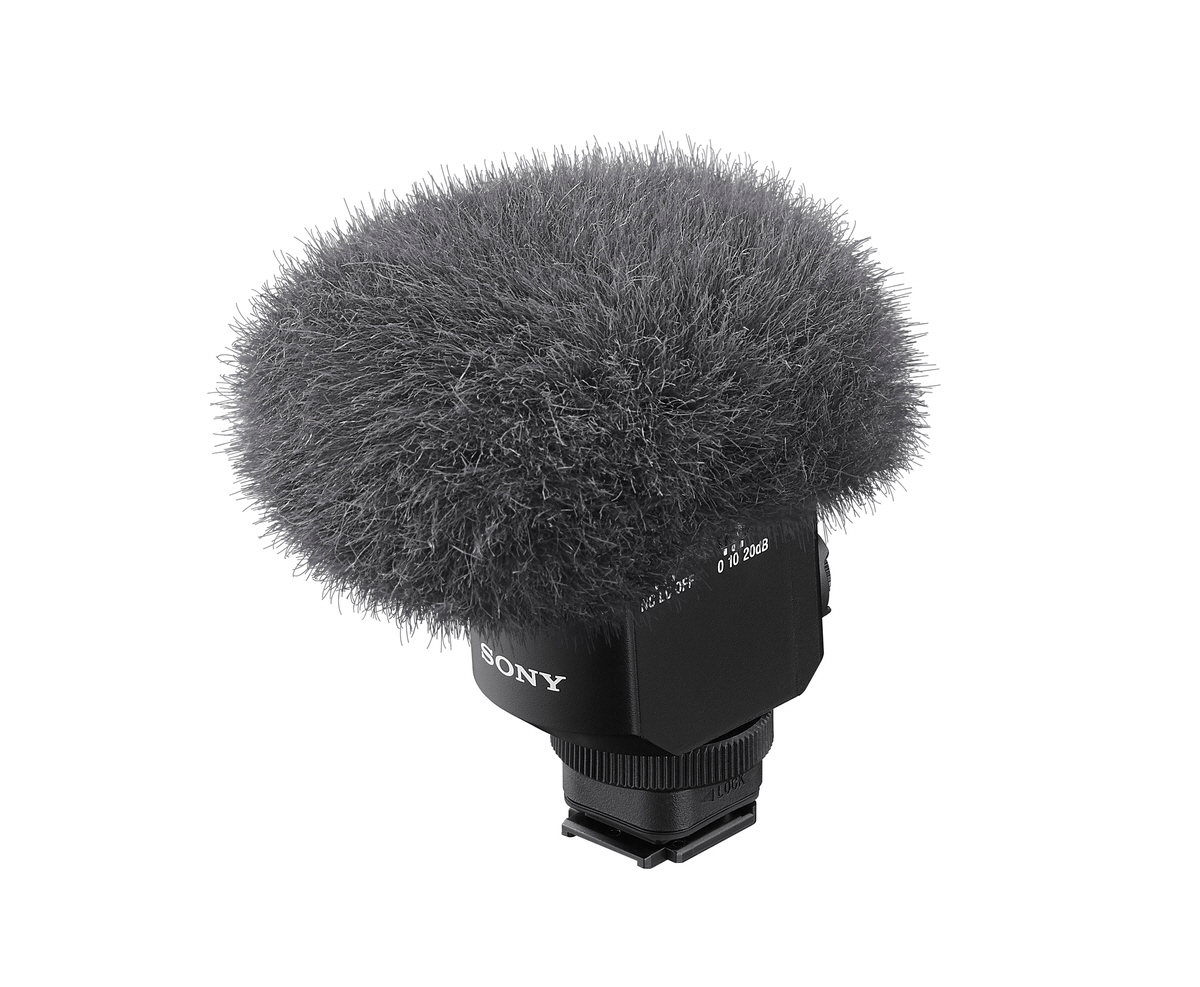 ECM-M1